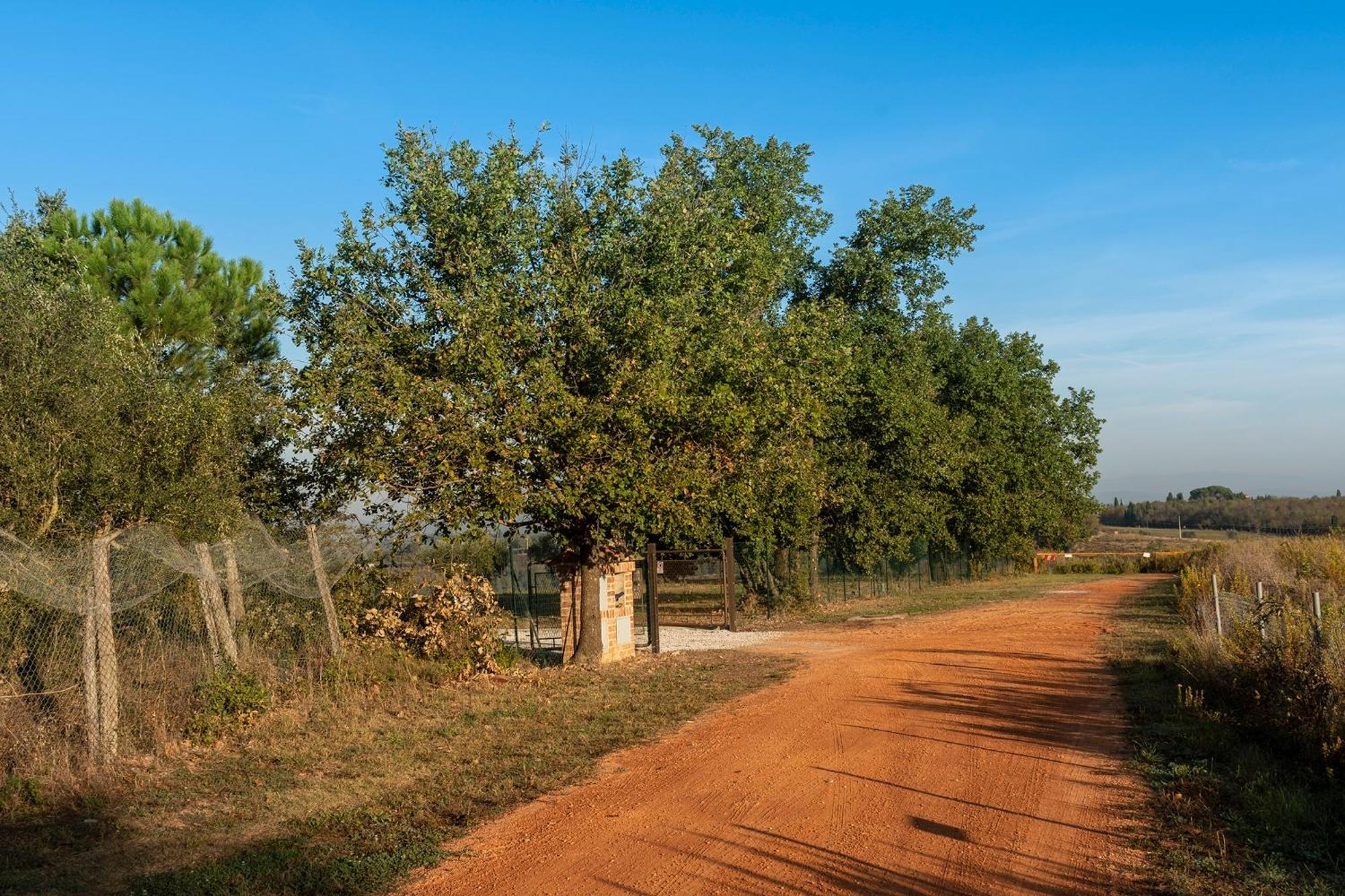 Podere Abbazia b&b Sinalunga Zewnętrze zdjęcie